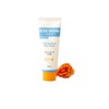 Bonsep Eye Cream Eye Area Care Elasticity Eye Serum /