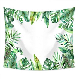 Solaiz Eight Haku HABANA: Polarized BR, HABANA: Polarized BR