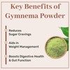 SAMYAM Gymnema Leaves Powder - 200g Pack | Gurmar/Gymnema Sylvestre,