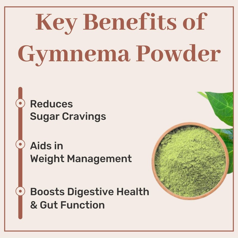 SAMYAM Gymnema Leaves Powder - 200g Pack | Gurmar/Gymnema Sylvestre,