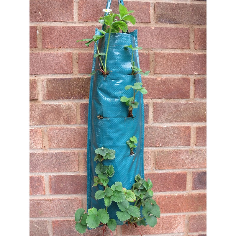 Bowry's Pack of 2 Hanging Strawberry Growbag Planters