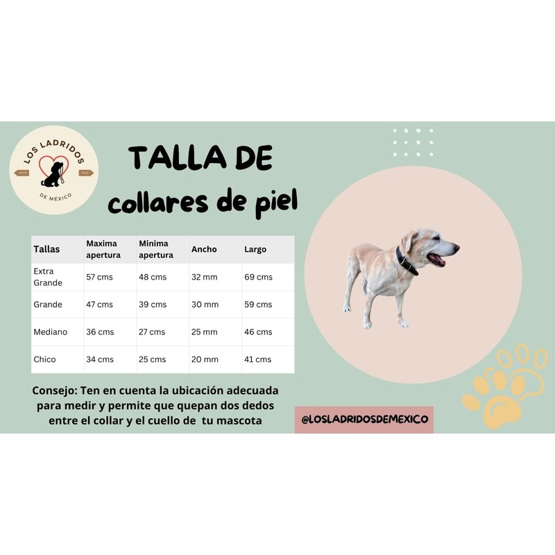 Collar para Perro De Piel Alta Calidad Resistente Entrenamiento Y