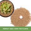 NOHOBE 5lb Hard Akadama Bonsai Soil 1/8-1/4 inch Small Grain