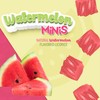 Wiley Wallaby Mini Licorice Bites 2.0 Ounce Classic Gourmet Soft