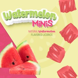 Wiley Wallaby Mini Licorice Bites 2.0 Ounce Classic Gourmet Soft & Chewy Australian Watermelon Licorice Candy Bags, 18 Pack