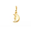 Alex and Elsa 14K Real Gold 3D Half Moon Pendant,