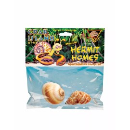 T-Rex Hermit Crab Home Medium Shell (2 pk)