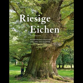 Riesige Eichen: Baumpersönlichkeiten und ihre Geschichten