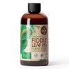 Organic Fiddle Leaf Fig Tree Plant Food - Liquid Fertilizer