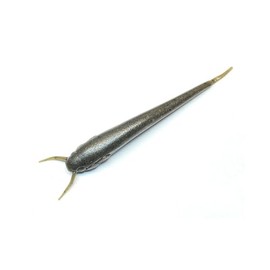 Nishine Lure Works 4" #2 Green Pumpkin