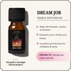 Good Luck, Open Road & Dream Job Oils | 3