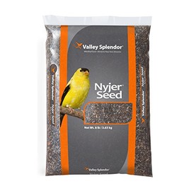 Red River 00176 Valley Splendor Nyjer Thistle Bird Seed, 8 Pounds