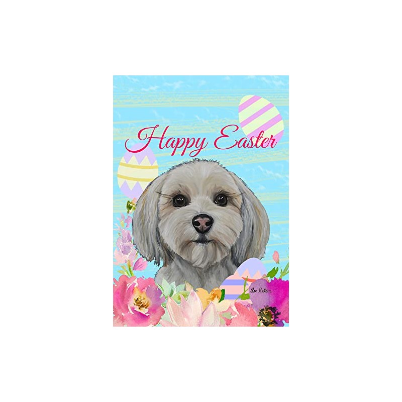 Havanese Cream - Best of Breed - HHS Easter House