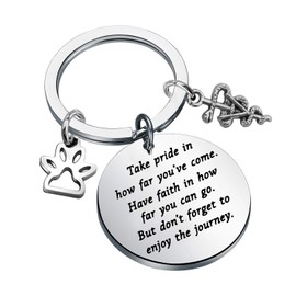 Veterinarian Graduation Gift Vet Tech Keychain Veterinarian Tech Nurse Gift Veterinarian Charms Jewelry Inspiration Veterinary Gift Take Pride in How Far You Have Come (silver)