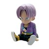 Chibi Trunks Box