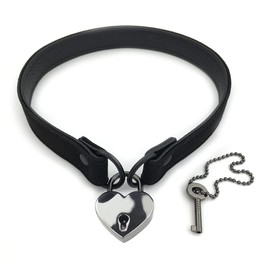 Succuba Padlock Choker Collar Necklace with Key Lolita Collar Cat Kitty Velvet Necklace with Lock and Key for Women and Men (A, 14)