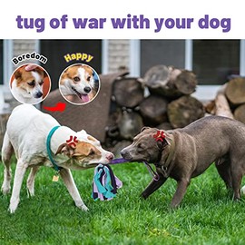 Juguete de tirón para perros (morado)                                                                                                                 