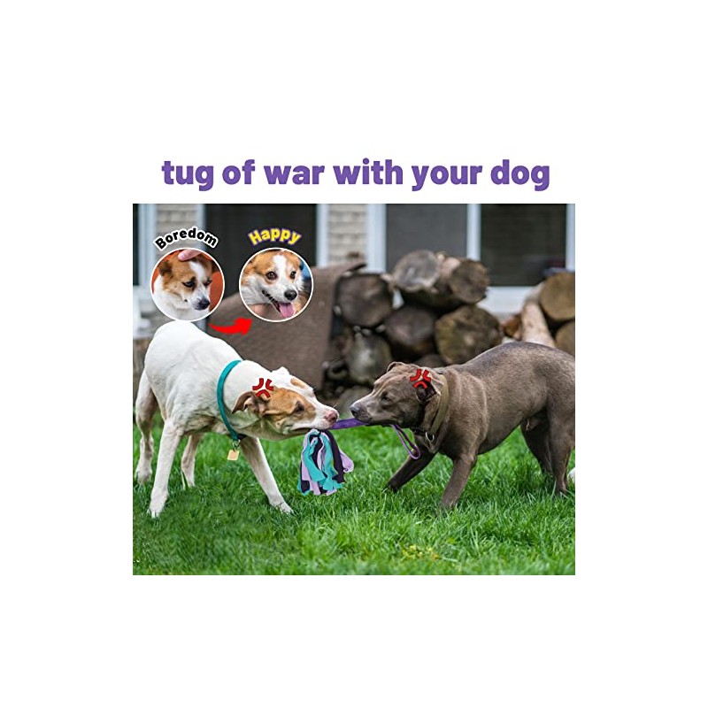 Juguete de tirón para perros (morado)