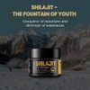 Shilajit Resin, Original Himalayan Shilajit 30g - Gold Grade 100%