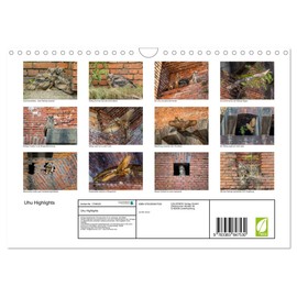 Uhu Highlights (Wandkalender 2025 DIN A4 quer), CALVENDO Monatskalender [Calendar] Jennifer Hetzel
