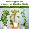 2 Pack 48 Inch Bendable Moss Pole Monstera Plant Support