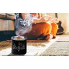 Handmade Black Iron Incense Burner/Incense Censer with Stainless Steel Sieve