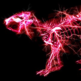 グラデーション (初回生産限定盤A) - SUPER BEAVER