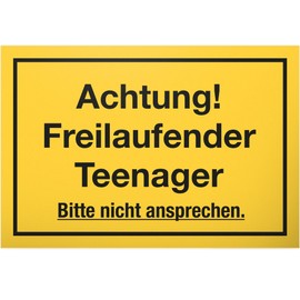 DankeDir! Freilaufender Teenager Sign Door Decoration Room Decoration Teenagers Gift Idea Decoration Birthday Boys & Girls Door Sign Saying Gift Idea Teenager's Room