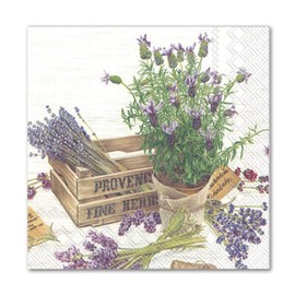 Boston International Cocktail Napkins 3-Ply Paper The Flavor Of Provence, 40-Count VALUE Pack