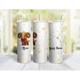Mugzan ARIES Zodiac Stainless Steel Skinny 20 Oz Tumbler With Lid & Straw by Mugzan