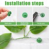 WILLBOND 80 Pieces Garland Hanging Hooks Plant Anchors for Trellis