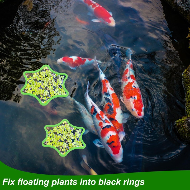 PEUTIER 5pcs Aquarium Floating Plant Rings, Foam Floating Plant Corral