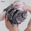 DOVE Shampoo 2IN1 Daily Moisture