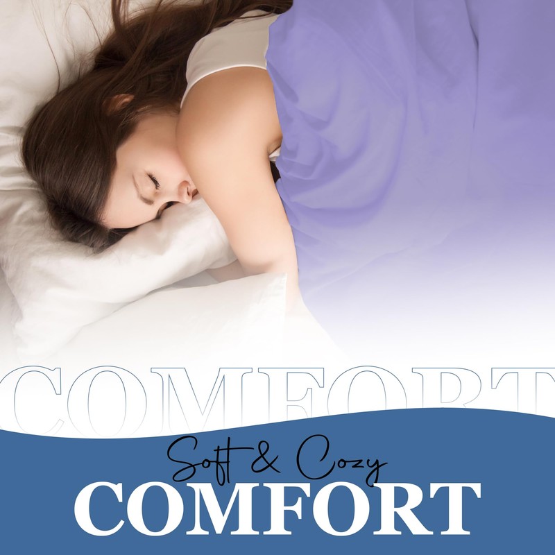 Shavel Home Products Micro Flannel King-Size All Seasons Lightweight Sheet