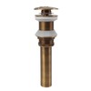 Pop Up Sink Drain Vintage Sink Vessel Drain Stopper Plant