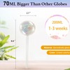 E-feilai - Large Glass Watering Globes for Gift, Self-Watering Bulbs
