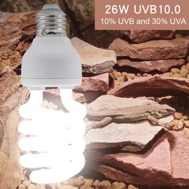 yimidool UVB Reptile Light Bulb 10.0 26W, UVA-UVB Bulbs for Reptiles Ideal for Rainforest Reptiles Bearded Dragons Lizard Tortoise Iguanas Chameleons Snake - 1 Pack