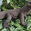 Vivid Arts - Komodo Dragon - PP-KOMO-F