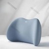 Ergonomic Lumbar Support Pillow, Memory Foam Back Cushion for Car