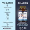 Bas Internacional | Joint Support Formula 2 Piezas | Tabletas