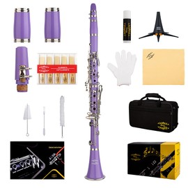 Glory GLY-CLAPUR Professional Ebonite Bb Clarinet with 10 Reeds, Stand, Hard Case, Cleaning Cloth, Mouthpiece Brush and Pad Brush,Purple/Silver