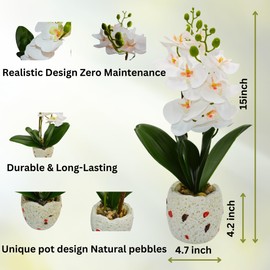 CLOVERIZ Artificial Orchid Plants with Pots, White Phalaenopsis, Set of 2, Decorative Stone Planters