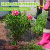Zubebe 10 Pack Small Wire Plant Protectors Square Plant Protectors