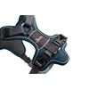 Hunter Divo Ergonomic Dog Harness with Soft, Breathable Padding for