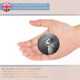 Destination Vinyl ltd Magnet for Refrigerator, Fridge BW - Cute Jack Russell Dog Puppy for Office, Cabinet and Whiteboard, Magnetic Stickers, 36818