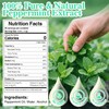 Rylenor 3 oz Peppermint Extract, Pure Mint Extract for Ice