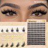 Winifred Manga Lash Clusters Wispy Eyelash Clusters C Curly Fairy