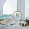 NCYP Hanging Small Rose Gold Hexagon Herbarium, Side Length 1.9