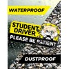 Student Driver Car Magnet Cute Hamster - Weather - Resistant