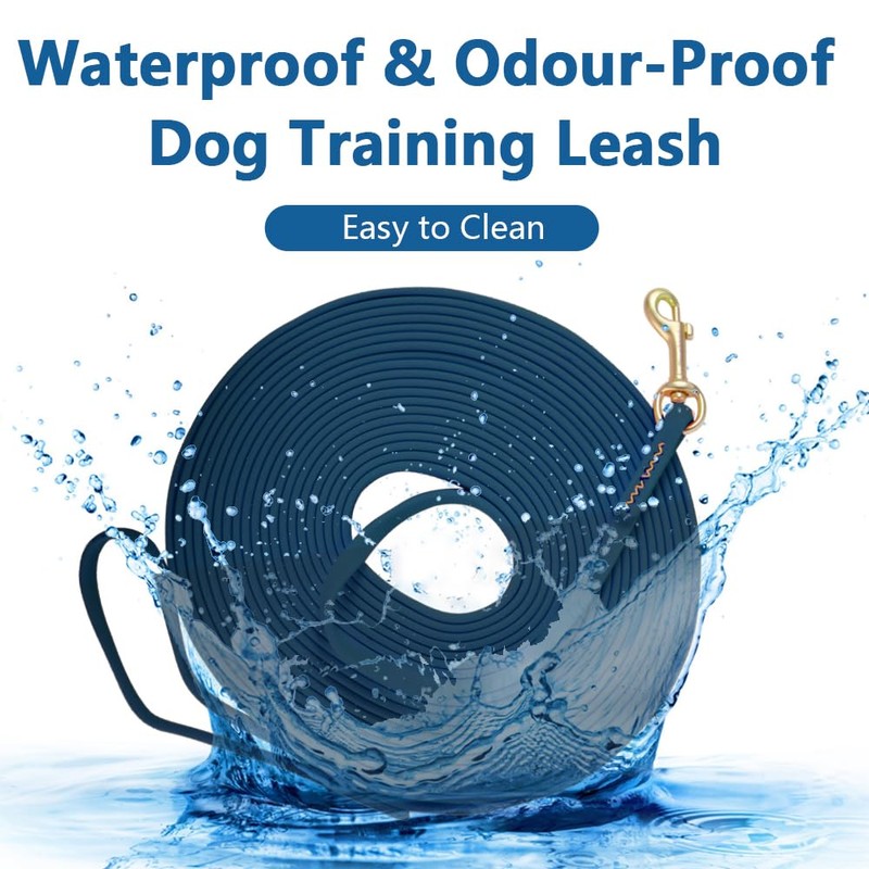 10 mm Waterproof Dog Leash, Long Training Lead for Dogs